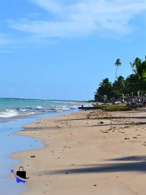 Quando ir a Maceió Guia completo para sua viagem Viajando Moises