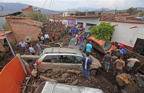 Investigarán Deforestación Por Aguacate En San Gabriel Alfaro Grupo