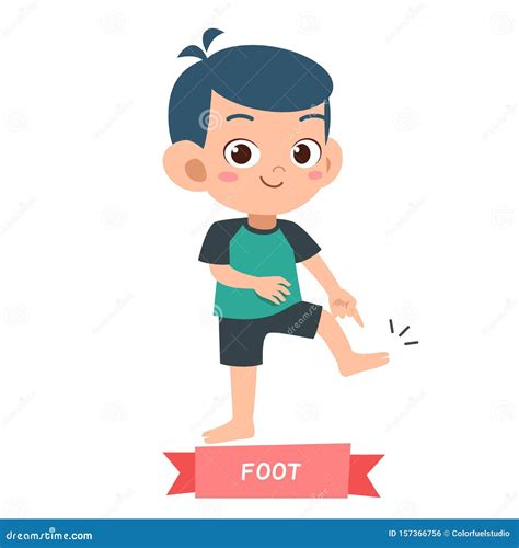 Kid Pointing Body Part. Little Funny Preschool Boys And Girls Show