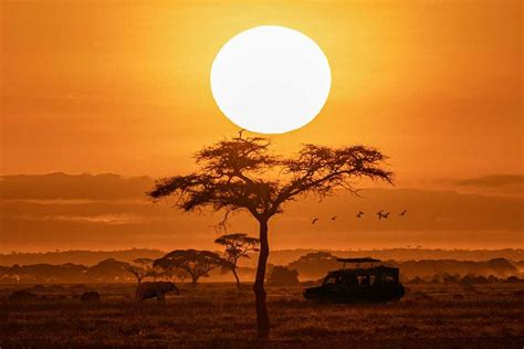 7 African Safari Tips for Planning Your Trip | Zicasso