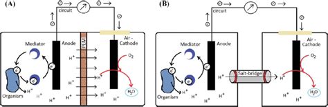 Schematic Representation Of Double Chambered Microbial Fuel Cell Download Scientific Diagram