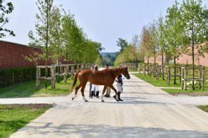 Meilleurs Apprentis De France Des M Tiers Du Cheval Et De L