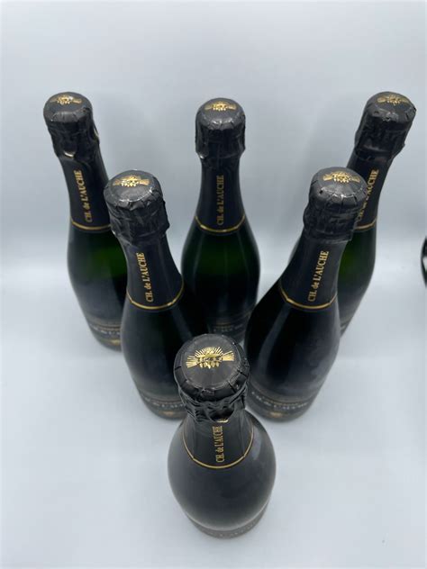 CH De L Auche Champagne Blanc De Noirs 6 Bottles Catawiki