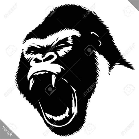 Vector Black And White Linear Paint Draw Monkey Vector Illustration