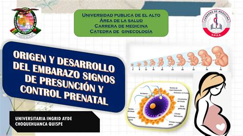 Origen Y Desarrollo Del Embarazo Signos De Presunción Y Control Prenatal Ingrid Choquehuanca