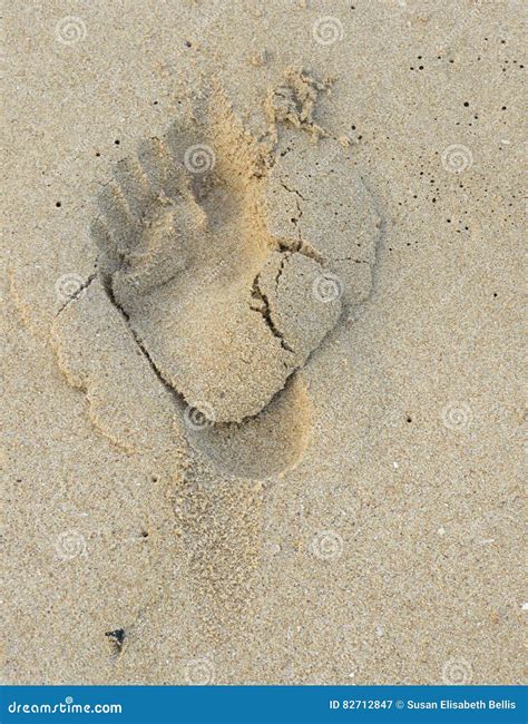 Male Footprint In Sand Stock Image Image Of Beach Jogging 82712847