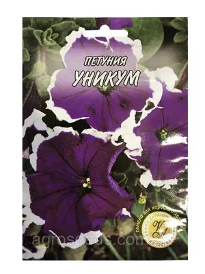 Петуния уникум фото - 84 картинки