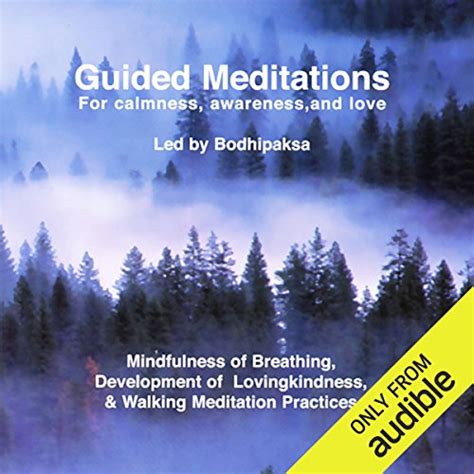 Guided Meditations Audiobook Free With Trial