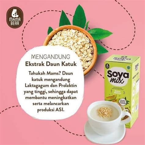 Jual Mamabear Soya Zoya Mix Pelancar Asi Sachet Rasa Cokelat Di