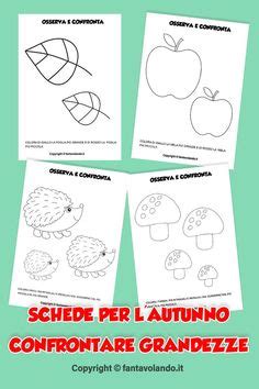 Idee Su Concetti Topologici Le Idee Della Scuola Attivit Per