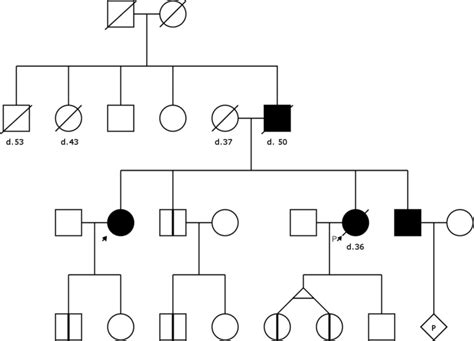 An Example Pedigree Chart With A Typical Autosomal Dominant Inheritance