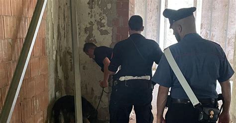 Mezzo Chilo Di Cocaina E Hashish In Un Borsone Fra I Rifiuti Nell Ex