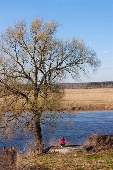 Naked Trees Stock Image Image Of Autumn Country Tree