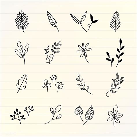 Various Leaves Doodle Collection Vector Free Image By Filmful Flower Doodles