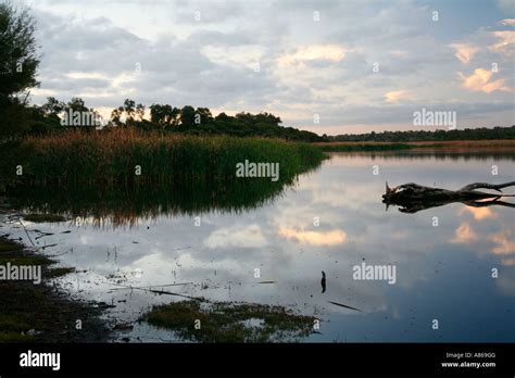 Joondalup twilight hi-res stock photography and images - Alamy