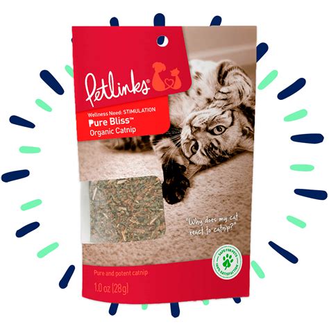 Catnip Consejos Y Beneficios Para Tu Gato Blog Petco Mx