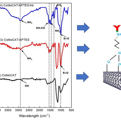 Surface Functionalisation Characteristics Of The Comocat Sg Swcnt