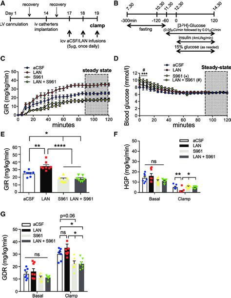 Central Inhibition Of Leptin Signaling Decreases Hgp In Dio Mice During