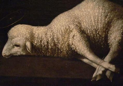 Detail Of Agnus Dei By Francisco De Zurbaran Spain 1636 Oil A Photo On Flickriver