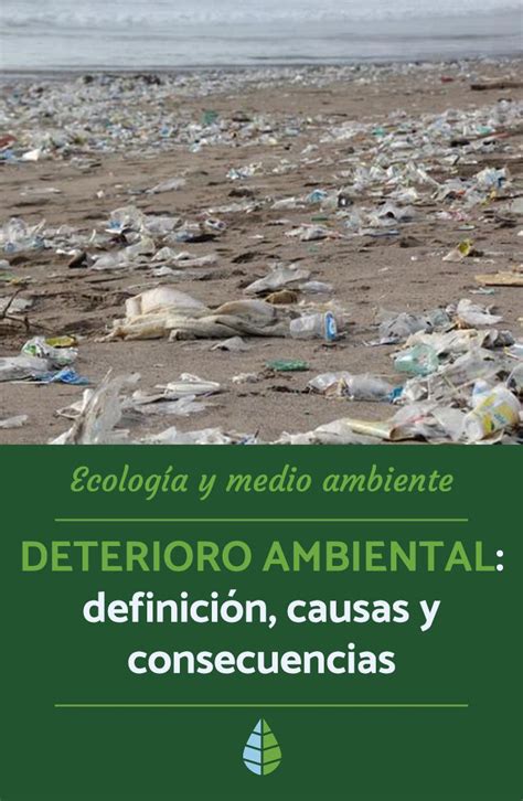 Infografia De Los Tipos De Deterioro Ambiental Ejercicios De Hot Sex