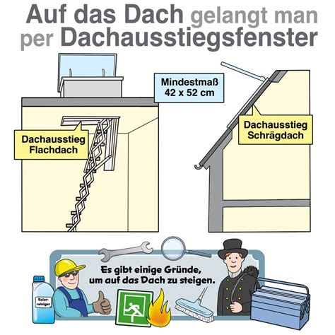 Dachausstiegsfenster Der Freie Zugang Zum Dach