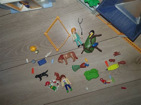 Playmobil Tierarztpraxis Clinique V T Rinaire Im Kanton Bern