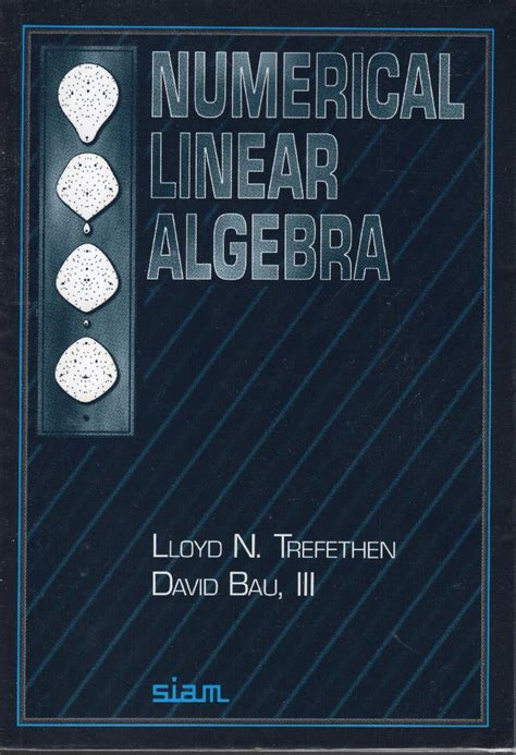 Numerical Linear Algebra 8581000033141 Lloyd N Trefethen David Bau Iii Libros