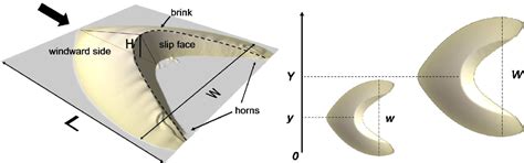 Barchan Dune Diagram