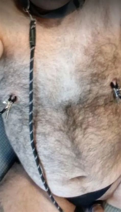 My Hairy Ass Nude Pics Xhamster