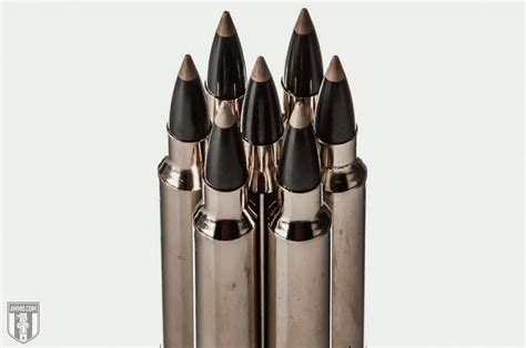 7mm Rem Mag vs 300 Win Mag: Timeless Big Game Hunting Cartridges