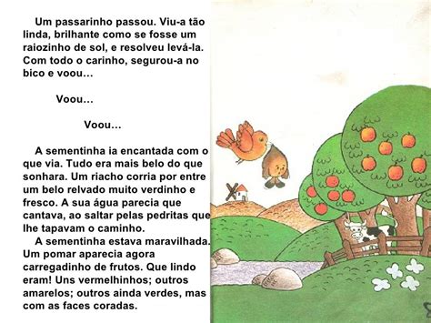 Livro A Viagem Da Sementinha