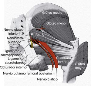 S Ndrome Por Atrapamiento Del Nervio Pudendo Reflexiones Sobre El