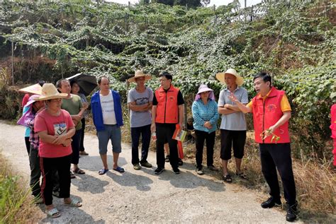 广西中医药研究院开展“党旗领航 科技助力乡村振兴”活动 工作动态 广西中医药研究院