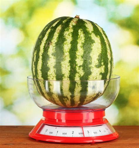 How To Pick A Perfect Watermelon Tips From An Experienced Farmer