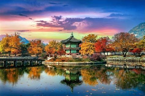 Top 10 compelling reasons to Study in South Korea 