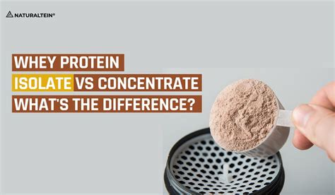 Whey Protein Isolate Vs Concentrate Whats The Difference