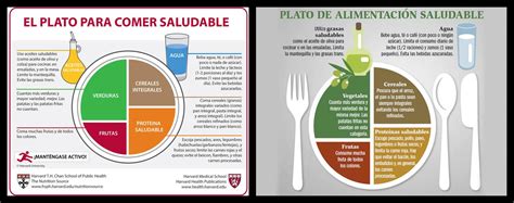 Traducción Vegetable Verdura Vs Vegetal Spanish Language Stack