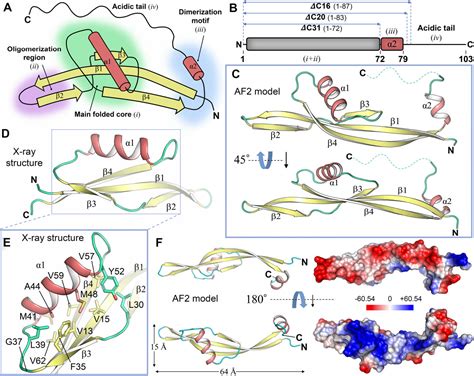 Figure 2 From Flexible Structural Arrangement And Dna Binding