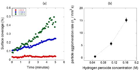 Effects Of H 2 O 2 Concentration On A Percentage Surface Coverage By