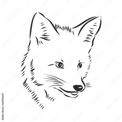 Fox Portrait Hand Drawn Vector Illustration Can Be Used Separately