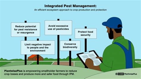 How Ipm Works A Sustainable Pest Control Method