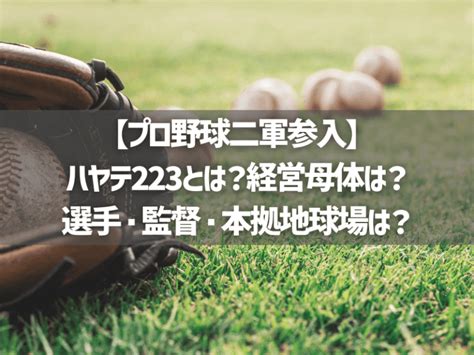 【プロ野球二軍参入】ハヤテ223とは？親会社は？選手・監督・本拠地球場は？ Akitamogul