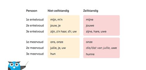 Slimleren Basis Bezittelijk Voornaamwoord