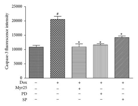 Involvement Of Erk And Jnk Phosphorylation In Myricitrin Mediated