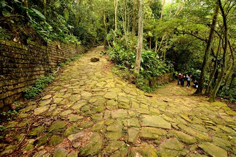 Motivos Para Visitar O Parque Caminhos Do Mar