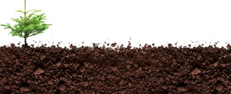 Soil Png Images Free Soil Pictures Download Free Transparent Png Logos