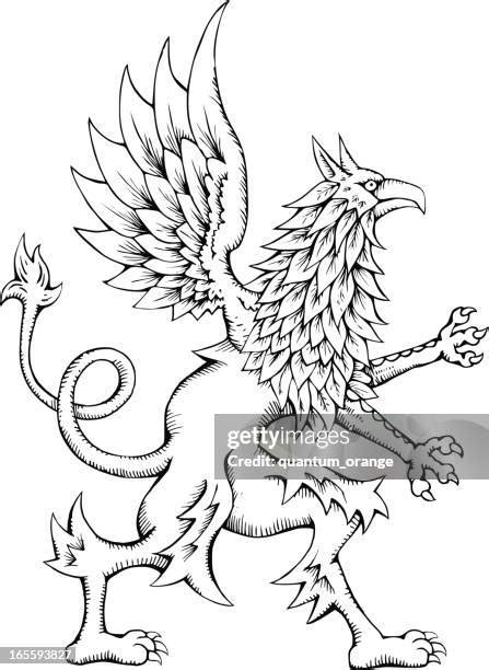 griffin mythology stock  high res pictures  images