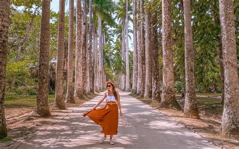 Parque Guinle Tudo Que Voc Precisa Saber Antes De Ir Viaje Na Web