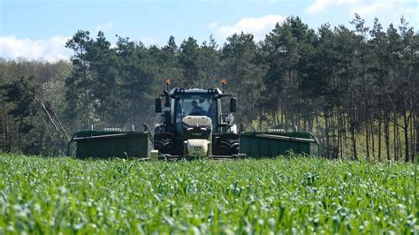 Fendt 936 Vario Gen6 mit Krone Butterfly am Grünroggen mähen YouTube