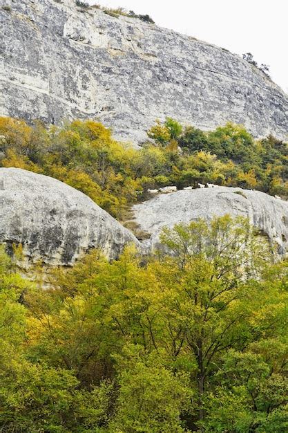 Premium Photo | Herd of goats walking along a mountain path